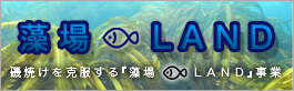 藻場LAND 磯焼けを克服する藻場LAND事業