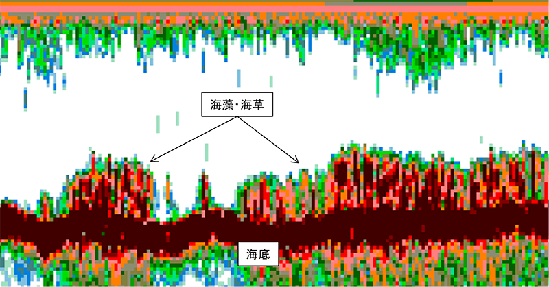 アマモのエコーグラムの一例