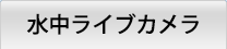 水中ライブカメラ