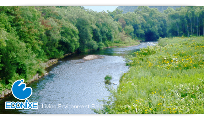 ECONIXE Land Environment Field