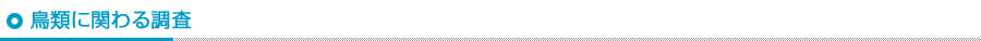 鳥類に関わる調査