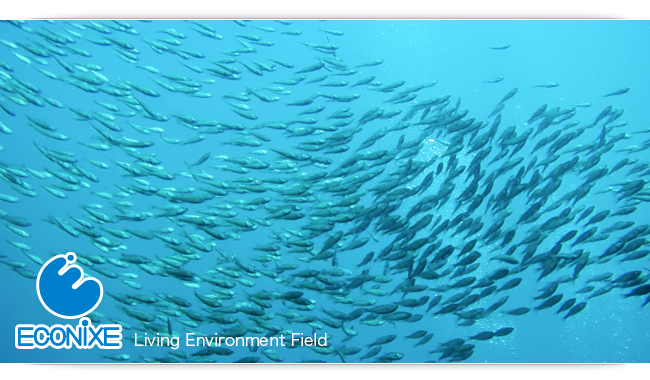 ECONIXE Ocean Environment Field